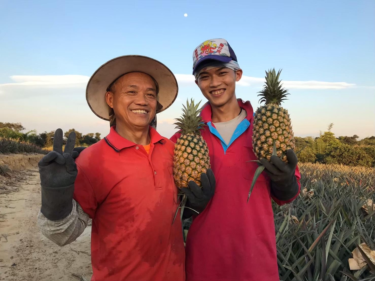 友善耕作免剝削　中山大學成立社會企業挺小農(另開新視窗/jpg檔)圖片