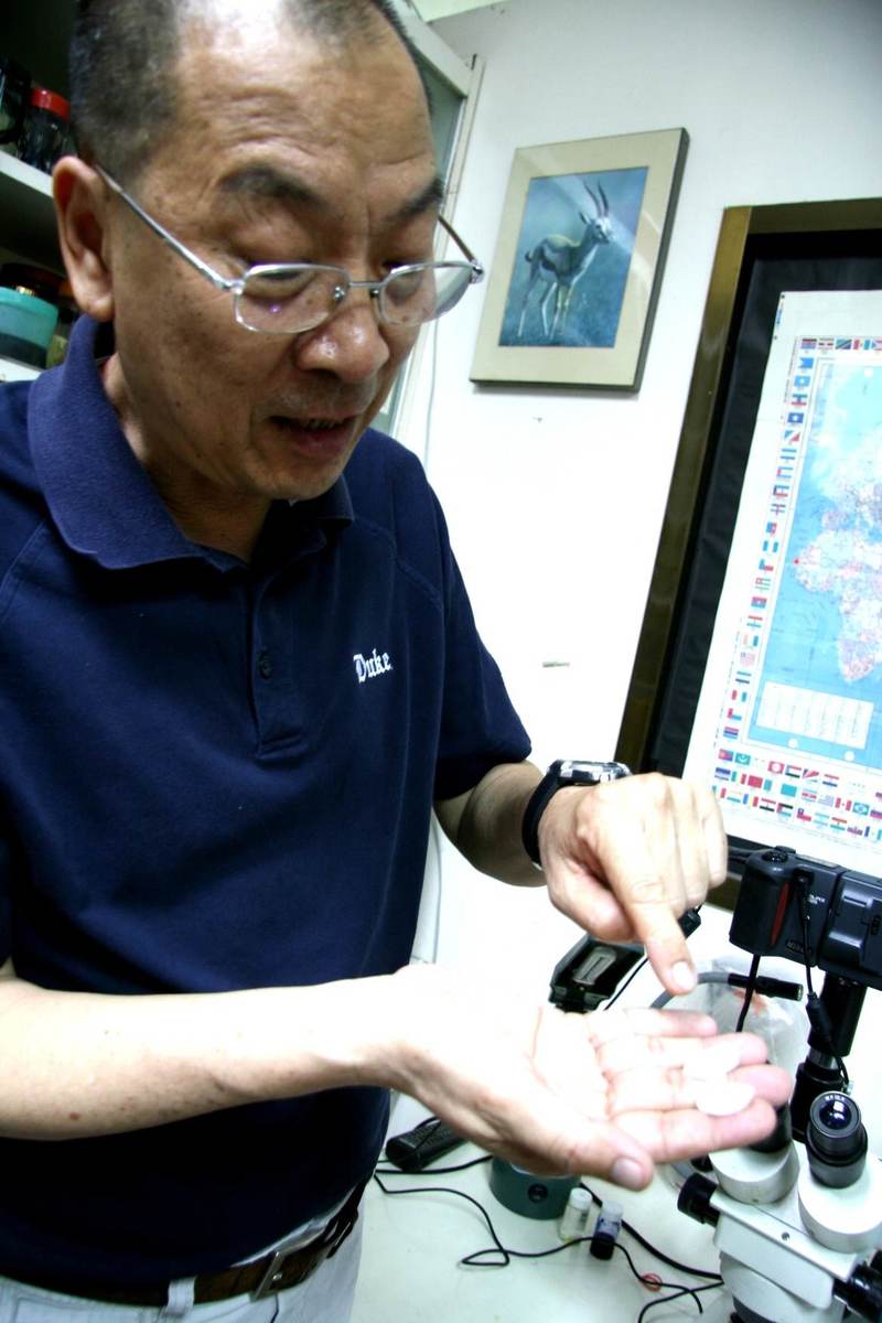 中山海生所莫顯蕎教授拿出石首魚耳石(另開新視窗/jpg檔)圖片