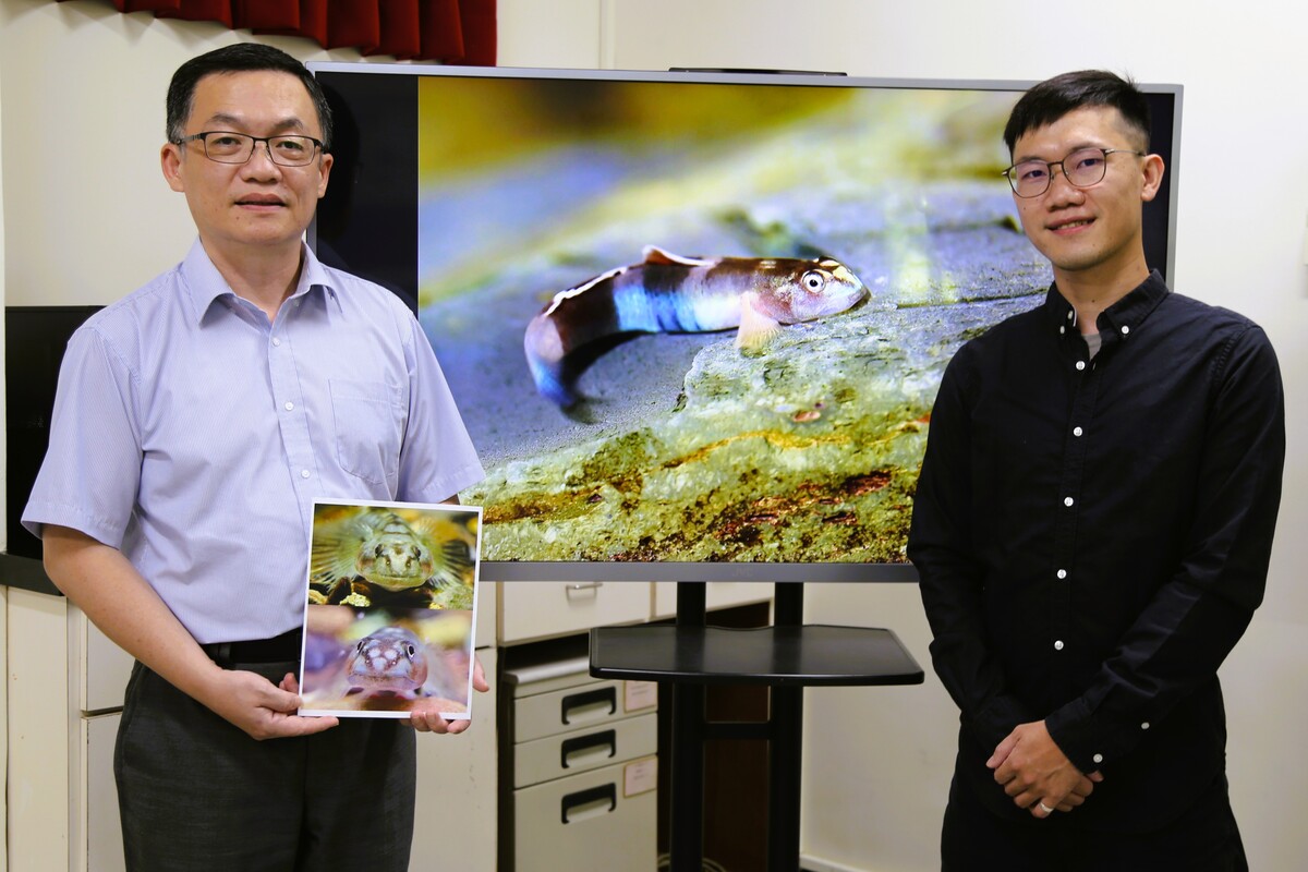 國立中山大學現借調擔任國研院海洋中心主任的廖德裕特聘教授（左），與博士生莊維誠（右）近日發表新種魚類「紋面韌鰕虎」(另開新視窗/jpg檔)圖片