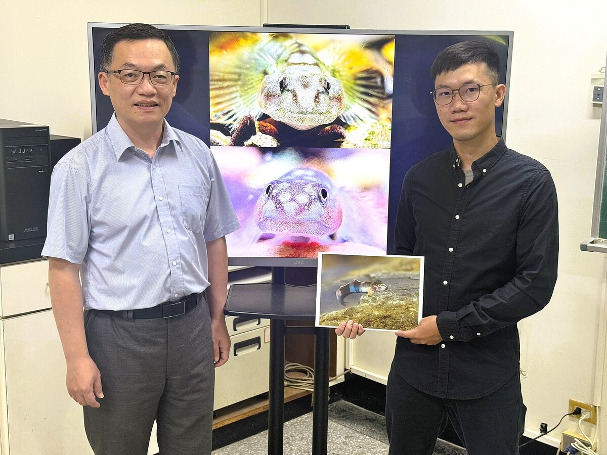 新種魚命名致敬原民紋面文化　中山大學發現「紋面韌鰕虎」(另開新視窗/jpeg檔)圖片