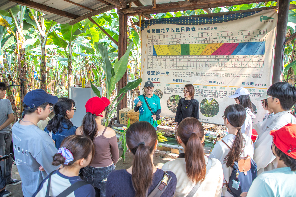 金旗山城解說員朱慧菁介紹香蕉的各個部位與用途，並帶領師生實際走入香蕉園。(另開新視窗/jpg檔)圖片