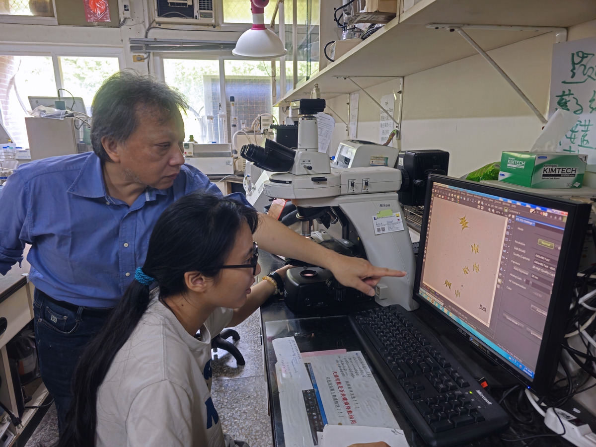 國立中山大學海洋生物科技暨資源學系李澤民教授團隊研究發現，微藻細胞內存在兩個影響碳流向的關鍵調控節點，猶如兩道「開關」。(另開新視窗/jpg檔)圖片