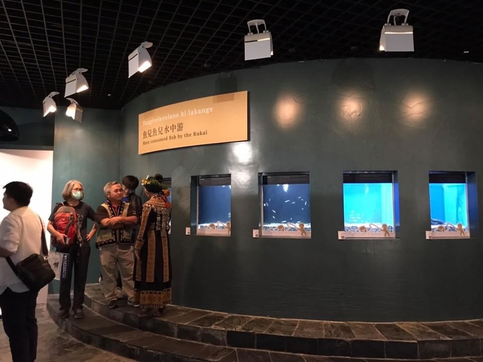 特展(魚兒水中游)
